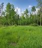 49 Cameron Rd, Pinawa, MB 