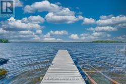 33 ft dock - 