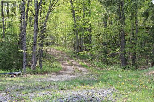 25 Maple Drive, Perry, ON - Outdoor With View