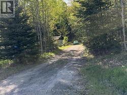 1709 60 HIGHWAY Huntsville (Chaffey), ON P1H 1A2