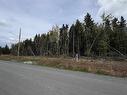 436 Canoe Crescent, Hammonds Plains, NS 