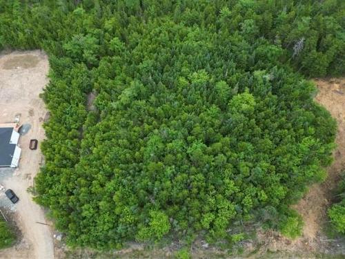 436 Canoe Crescent, Hammonds Plains, NS 