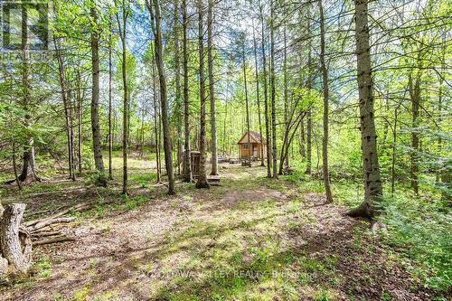 00 Mineview Road, Whitewater Region, ON 
