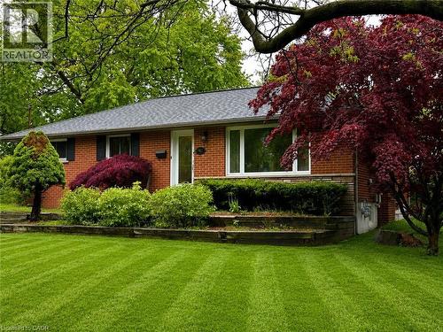 Brick exterior with a gray shingle roof, featuring a vibrant red maple tree and manicured lawn - 917 Orpha Street, Burlington, ON - Outdoor