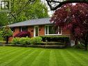 Brick exterior with a gray shingle roof, featuring a vibrant red maple tree and manicured lawn - 917 Orpha Street, Burlington, ON  - Outdoor 