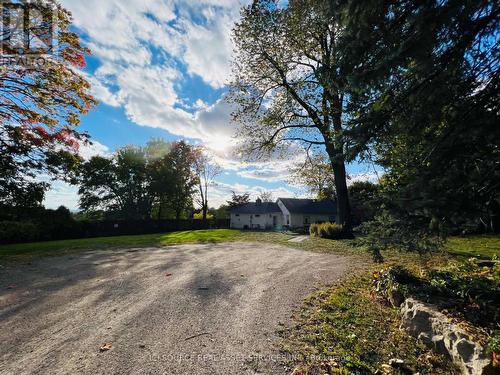 8 Renwood Place, Hamilton, ON - Outdoor