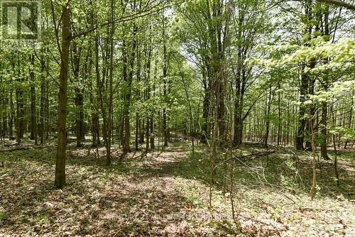 17218 Innis Lake Road, Caledon, ON 