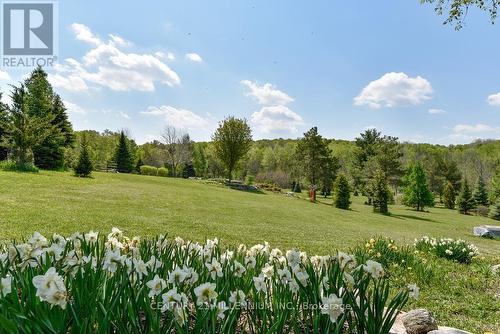 17218 Innis Lake Road, Caledon, ON 