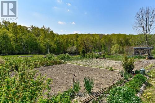17218 Innis Lake Road, Caledon, ON 