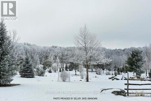 17218 Innis Lake Road, Caledon, ON 