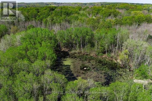 17218 Innis Lake Road, Caledon, ON 