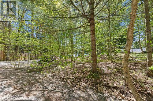 1054 Fair-Lee Park Road, Muskoka Lakes (Medora), ON 