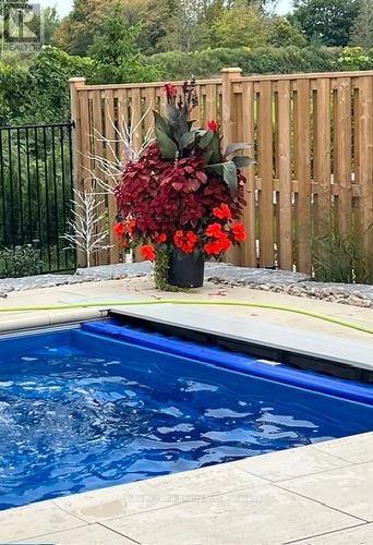 Power pull cover - 14 Thimbleweed Drive, Bluewater (Bayfield), ON - Outdoor With In Ground Pool