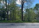 359 Town Line Rd. - view from street. - 359 Town Line Road W, Huntsville (Brunel), ON 