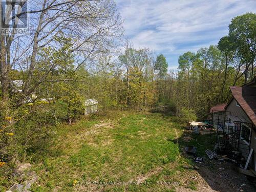 359 Town Line Rd. W. - possible building envelope - 359 Town Line Road W, Huntsville (Brunel), ON 