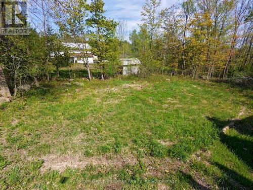 359 Town Line Road W, Huntsville (Brunel), ON 