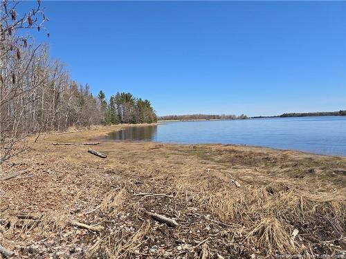 Acreage North Black River Rd, Black River Bridge, NB 
