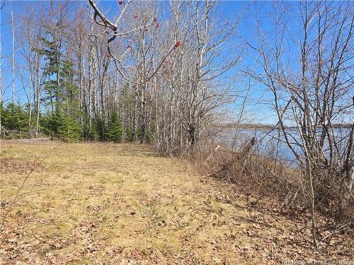 Acreage North Black River Rd, Black River Bridge, NB 