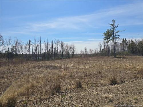 Acreage North Black River Rd, Black River Bridge, NB 