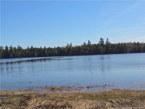 Acreage North Black River Rd, Black River Bridge, NB 