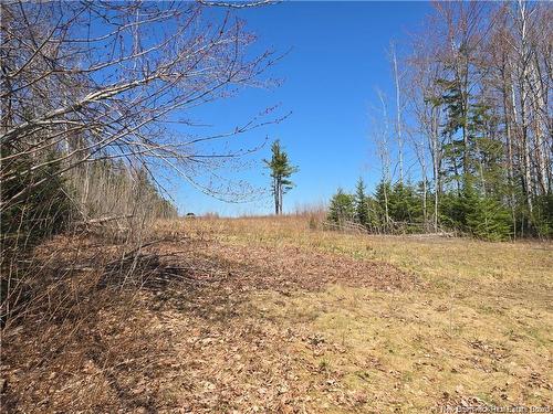 Acreage North Black River Rd, Black River Bridge, NB 