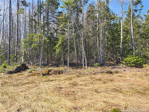 Acreage North Black River Rd, Black River Bridge, NB 