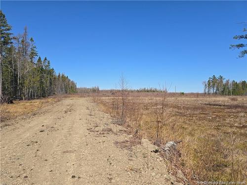 Acreage North Black River Rd, Black River Bridge, NB 
