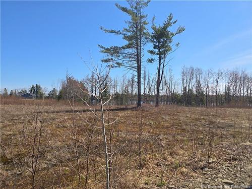 Acreage North Black River Rd, Black River Bridge, NB 