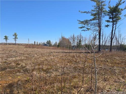 Acreage North Black River Rd, Black River Bridge, NB 