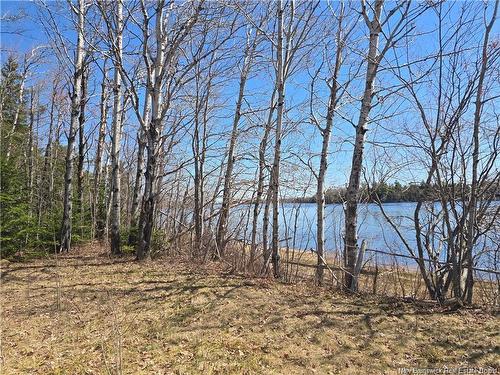 Acreage North Black River Rd, Black River Bridge, NB 