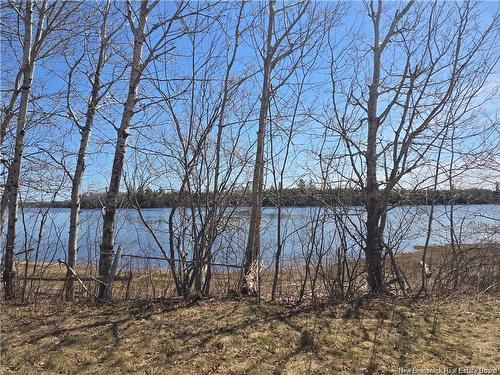 Acreage North Black River Rd, Black River Bridge, NB 
