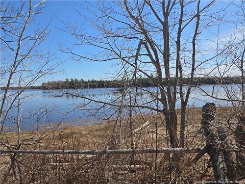 Acreage North Black River Rd, Black River Bridge, NB 