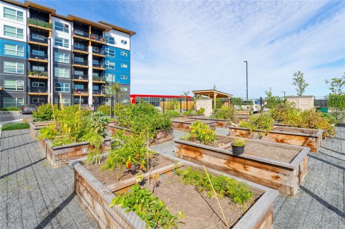 #217-2469 Gateway Rd, Langford, BC - Outdoor With Balcony