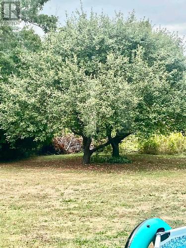 2963 Roger Stevens Drive E, Ottawa, ON - Outdoor