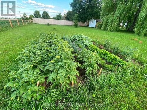 2963 Roger Stevens Drive E, Ottawa, ON - Outdoor