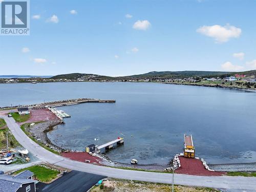 0 Trinity Road S, Heart'S Delight- Islington, NL 