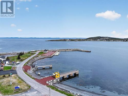 0 Trinity Road S, Heart'S Delight- Islington, NL 