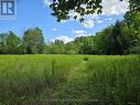 9414 First Line Nassagaweya, Milton, ON 