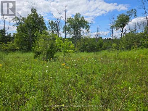 9414 First Line Nassagaweya, Milton, ON 