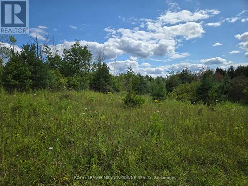 9414 First Line Nassagaweya, Milton, ON 