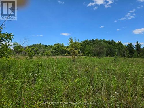 9414 First Line Nassagaweya, Milton, ON 