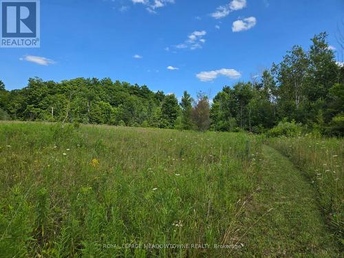 9414 First Line Nassagaweya, Milton, ON 