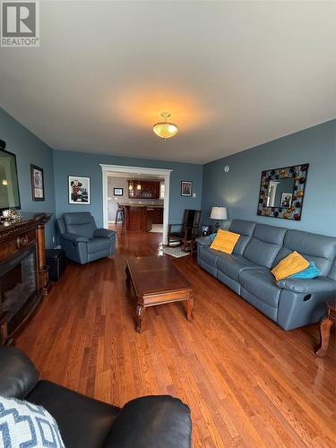 20 Mcdonald Crescent, Bishops Falls, NL - Indoor Photo Showing Living Room With Fireplace