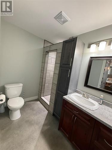20 Mcdonald Crescent, Bishops Falls, NL - Indoor Photo Showing Bathroom