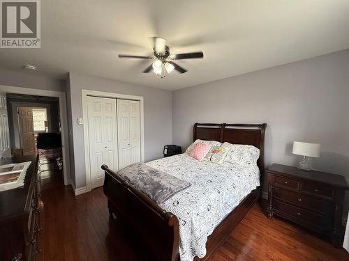 20 Mcdonald Crescent, Bishops Falls, NL - Indoor Photo Showing Bedroom