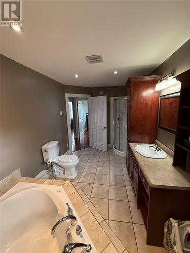 20 Mcdonald Crescent, Bishops Falls, NL - Indoor Photo Showing Bathroom