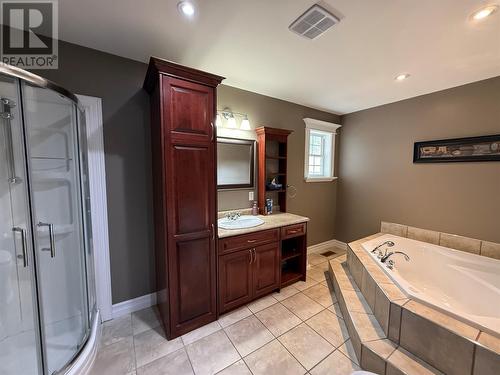 20 Mcdonald Crescent, Bishops Falls, NL - Indoor Photo Showing Bathroom