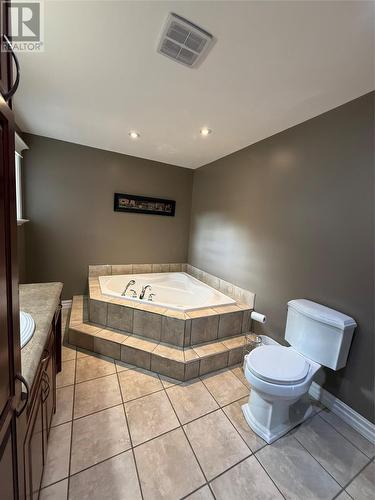 20 Mcdonald Crescent, Bishops Falls, NL - Indoor Photo Showing Bathroom