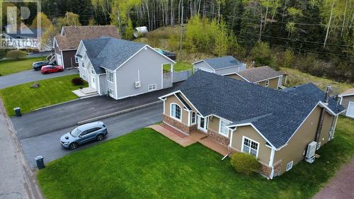 20 Mcdonald Crescent, Bishops Falls, NL - Outdoor