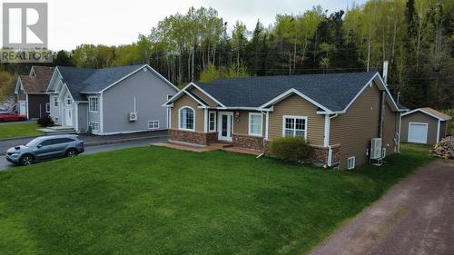 20 Mcdonald Crescent, Bishops Falls, NL - Outdoor